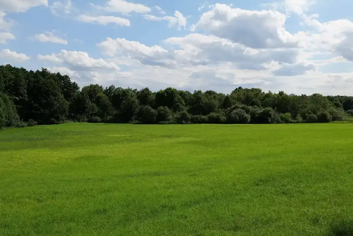 Frühling – saftige Wiesen am Stienitzsee