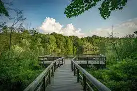 Teufelssee, Köpenick – Uferweg