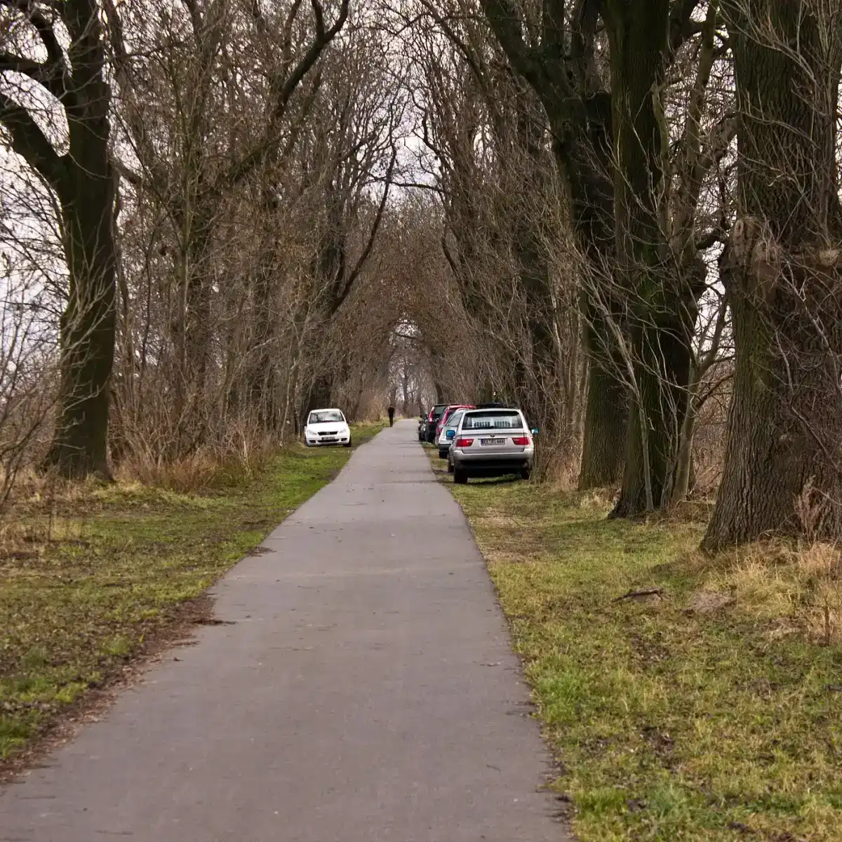 Radweg Richtung Altlandsberg